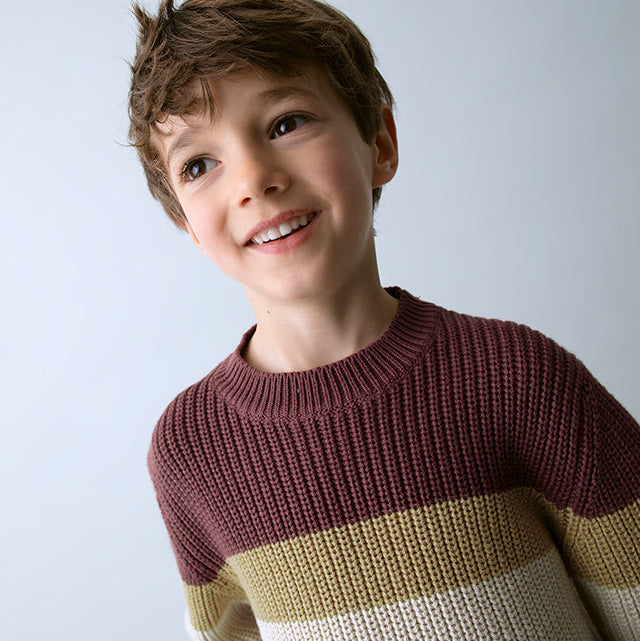 Plum Stripe Knit Sweater