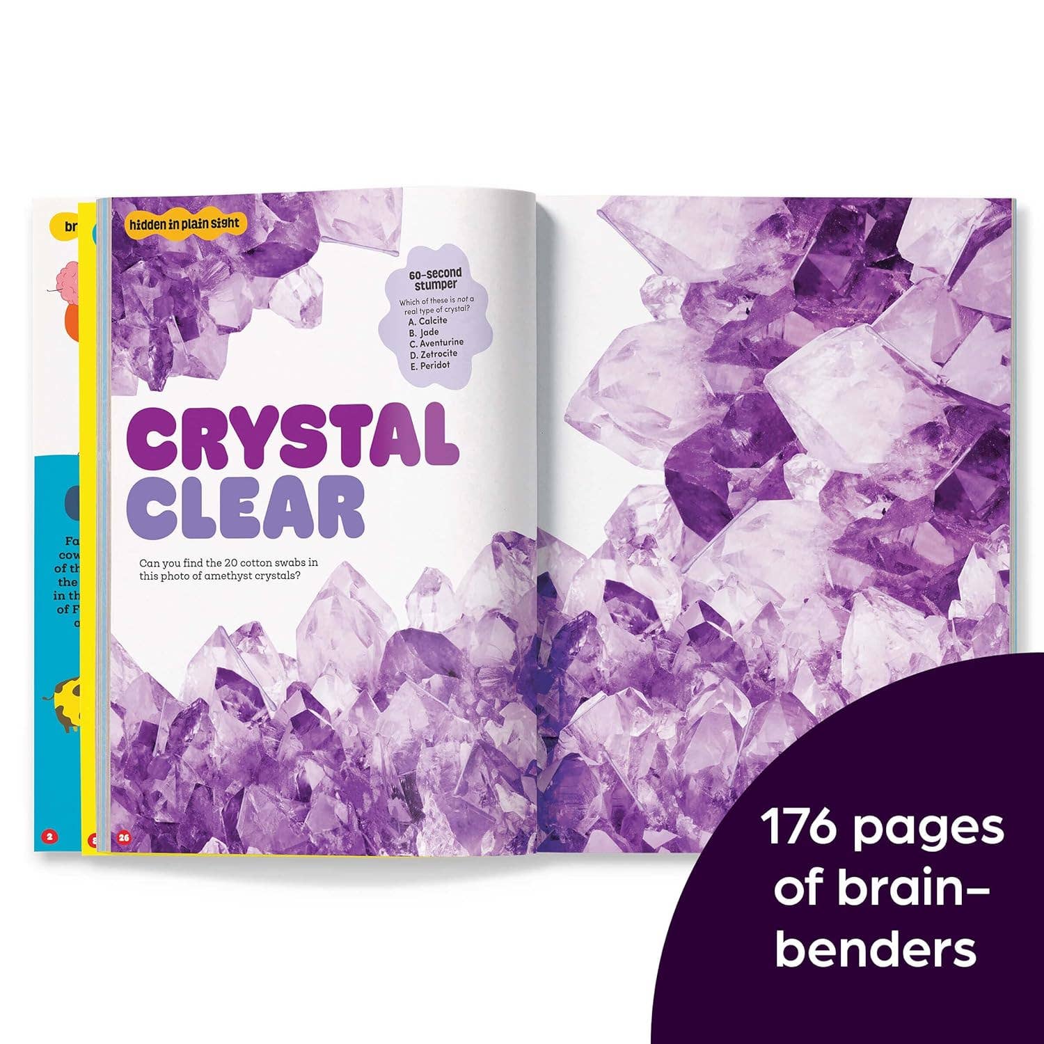 Brainplay Trickiest Puzzles Ever