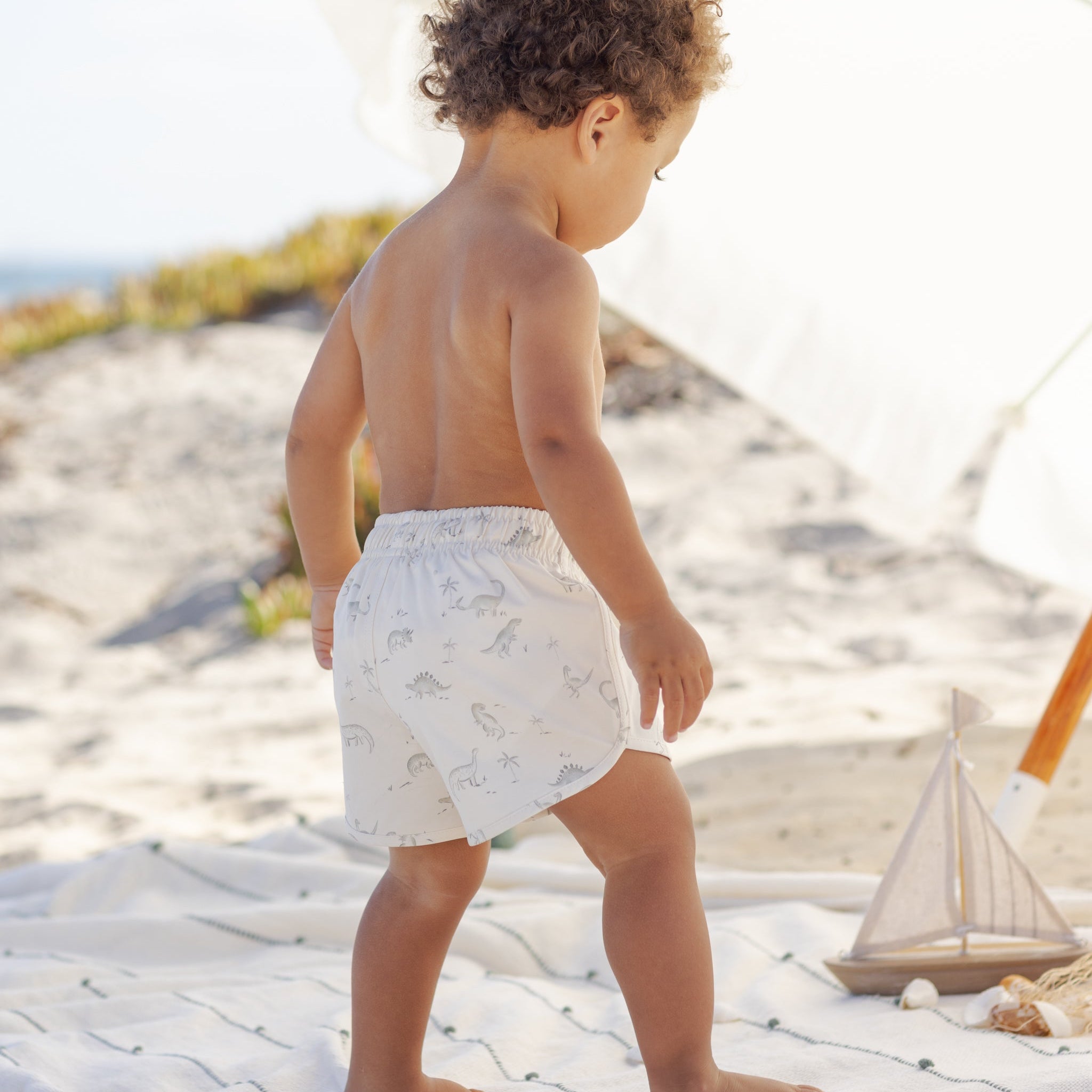 Boys Swim Short | Dinosaur