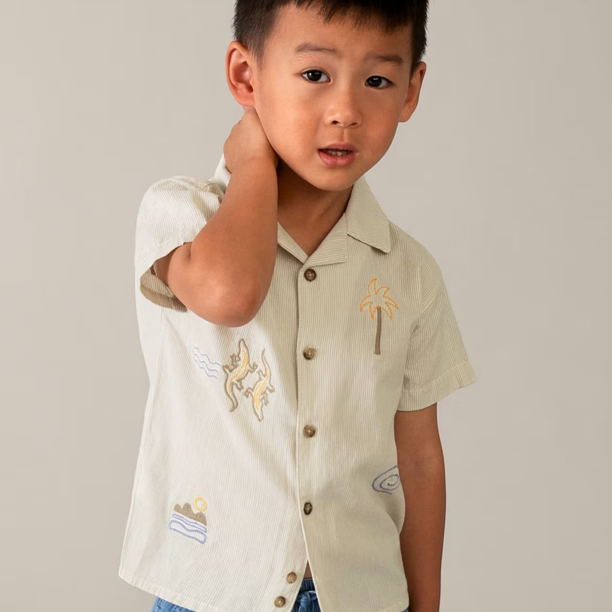 Desert Embroidered Linen Shirt