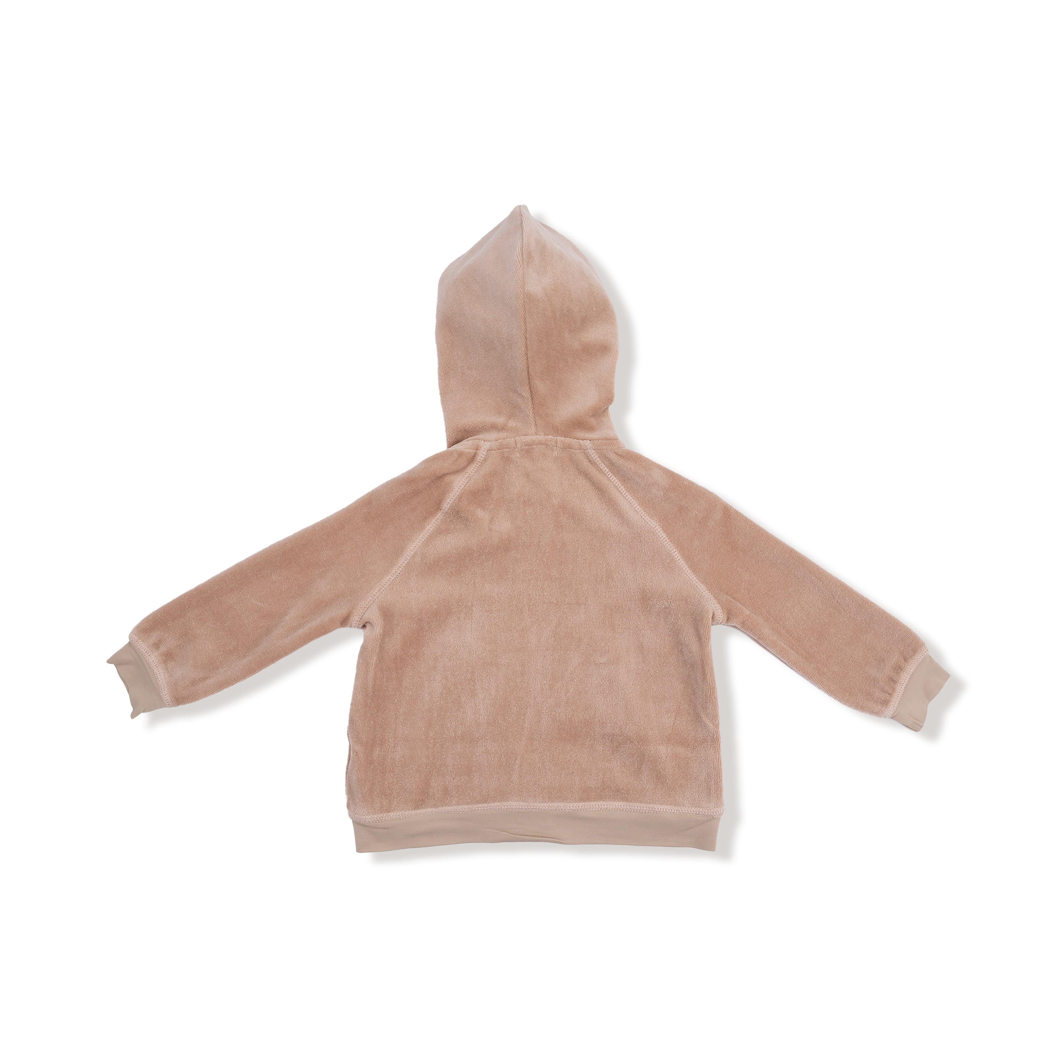 Velour Teddy Bear Hoodie and Jogger Set