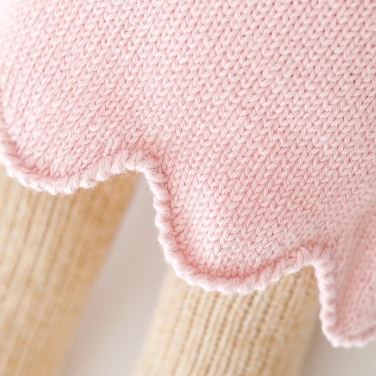 Bella the Honey Bear