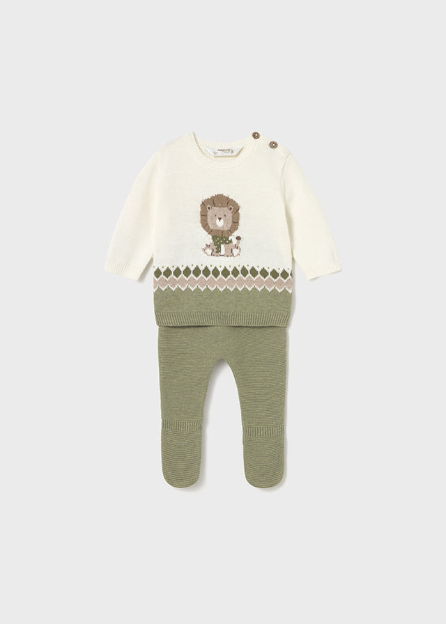 Lion Sweatshirt and Pant Set