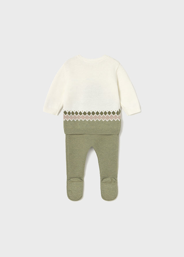 Lion Sweatshirt and Pant Set