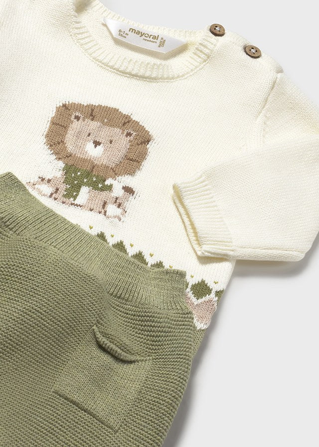 Lion Sweatshirt and Pant Set