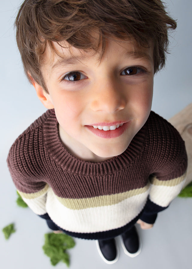 Plum Stripe Knit Sweater