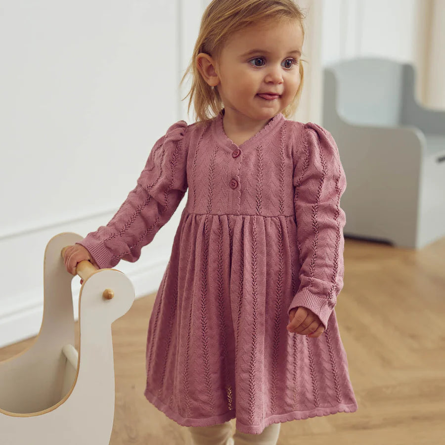 Nostalgia Rose Pointelle Knit Dress