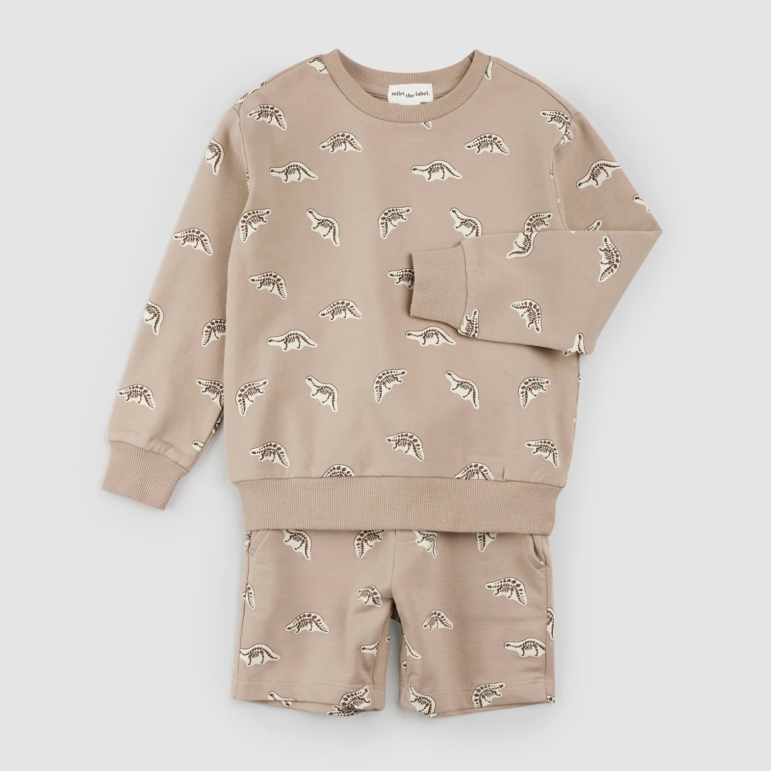 Dino Fossil Print Shorts Set