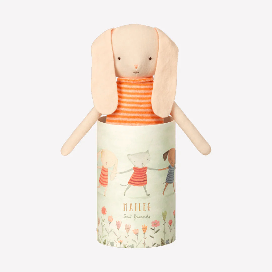 Best Friends - Bunny