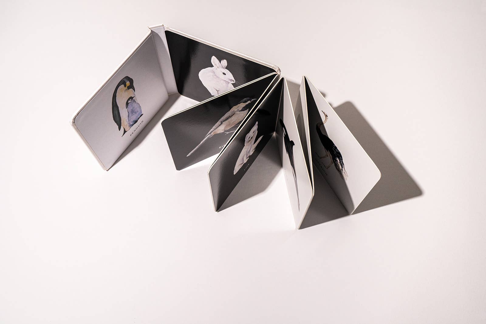 Black and White Contrast Book for Baby (Christmas Baby Gift)