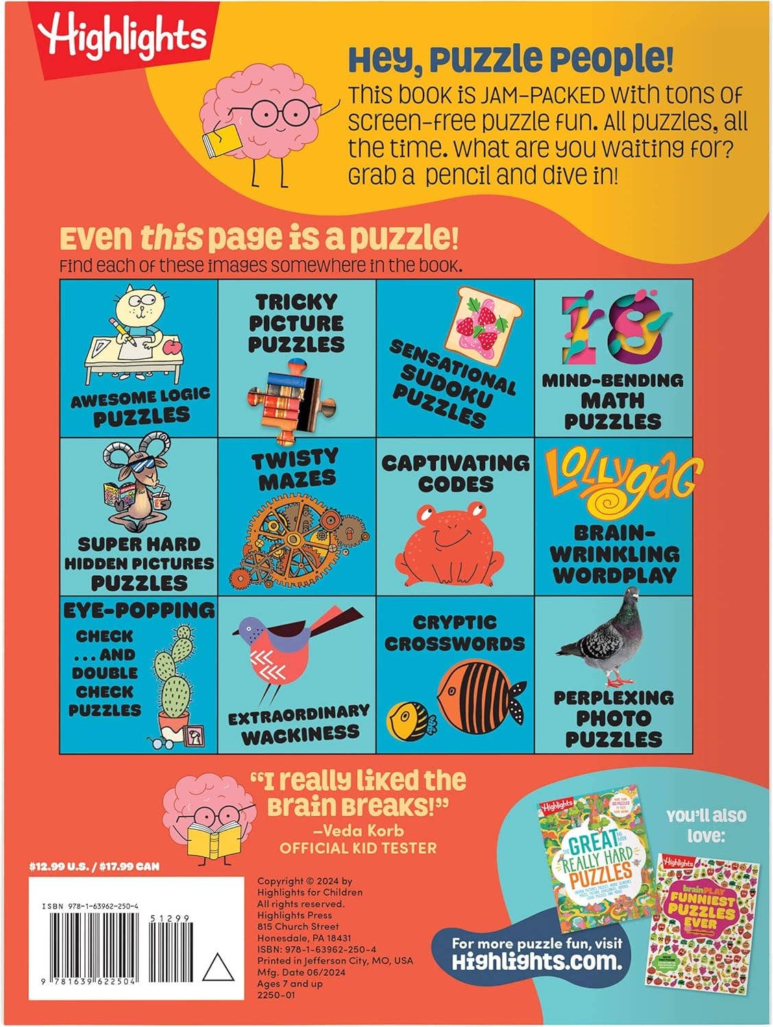 Brainplay Trickiest Puzzles Ever