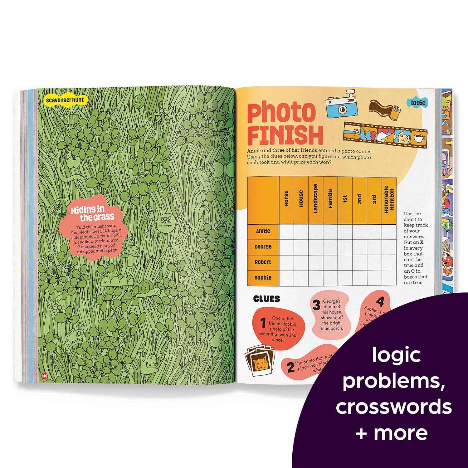 Brainplay Trickiest Puzzles Ever