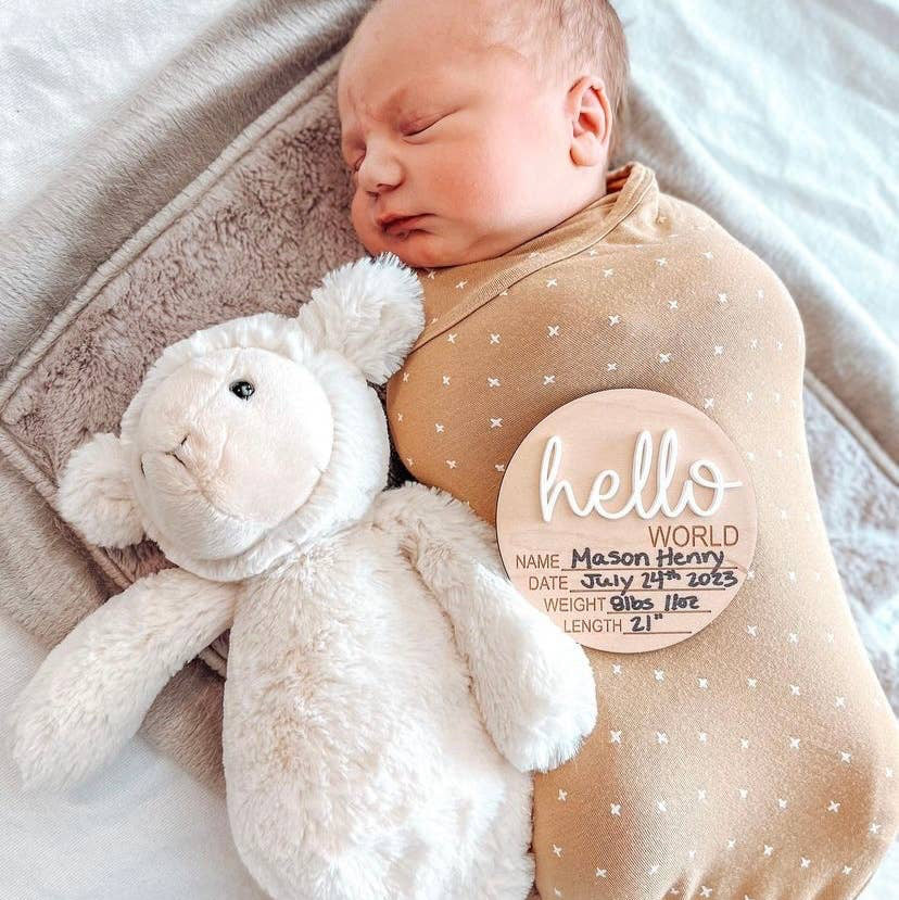 Hello World Birth Stat Announcement Wood Disc