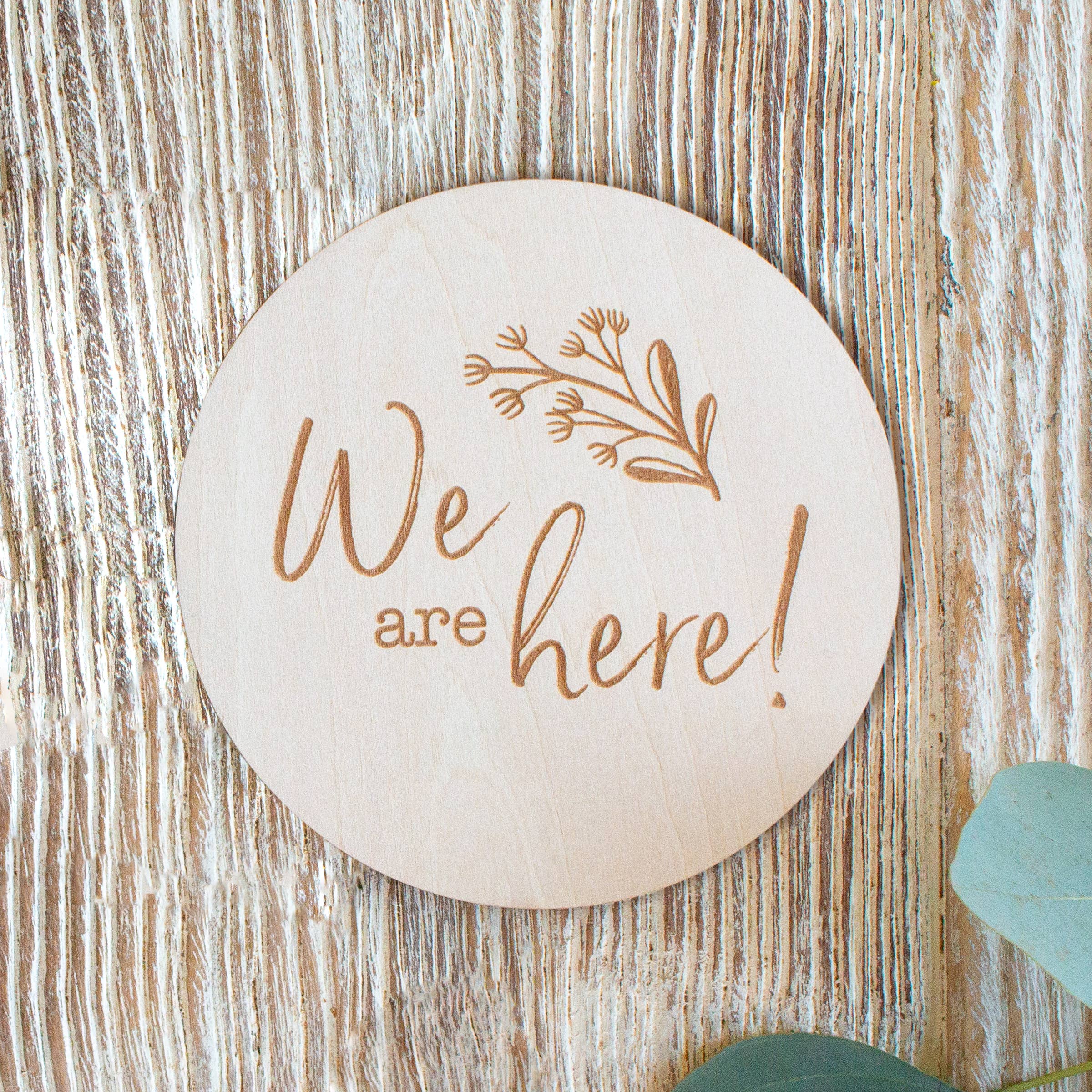 We are Here Milestone Disc